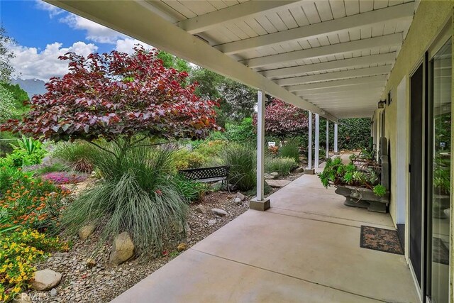 240 Portal St, Oak View, CA 93022 - view of patio
