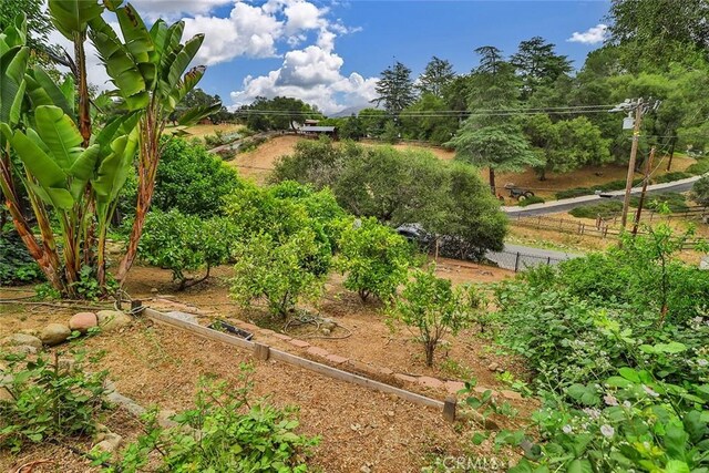 240 Portal St, Oak View, CA 93022 - view of yard