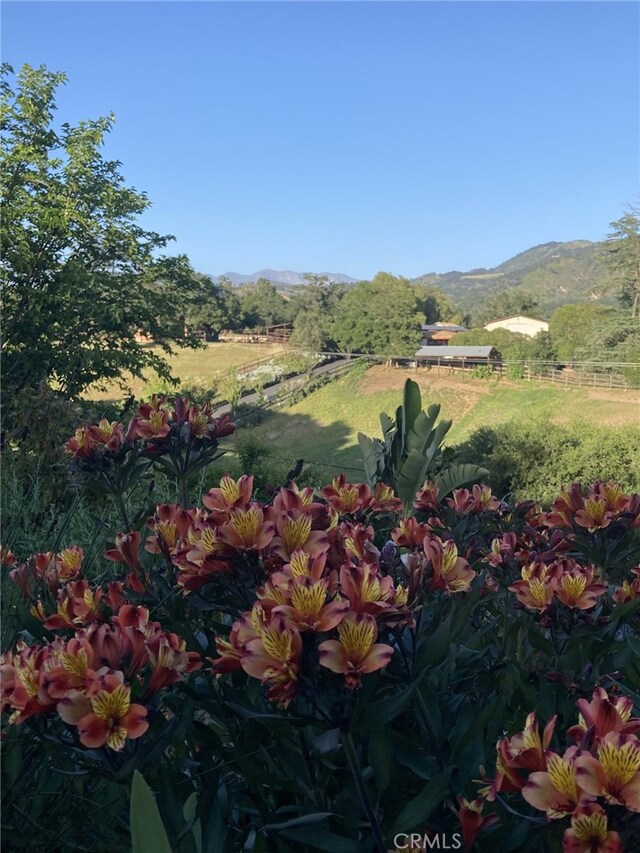 240 Portal St, Oak View, CA 93022 - mountain view featuring rural landscape