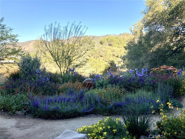 240 Portal St, Oak View, CA 93022 - view of yard with a mountain view