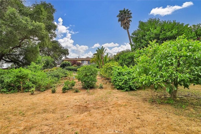 240 Portal St, Oak View, CA 93022 - view of yard