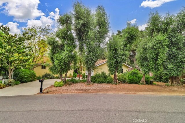 240 Portal St, Oak View, CA 93022 - obstructed view of property featuring stucco siding and driveway