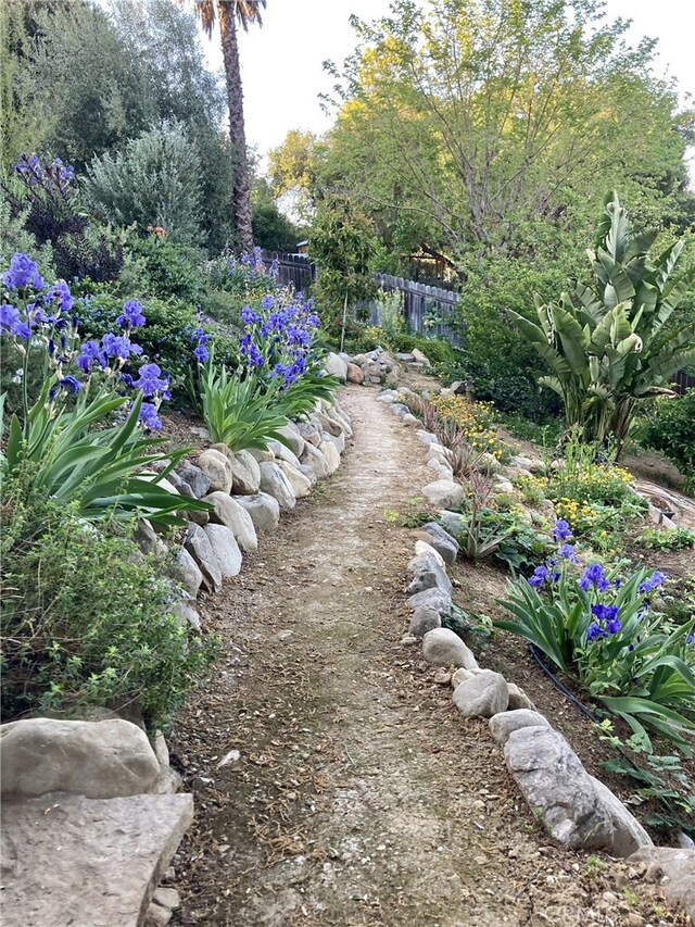 240 Portal St, Oak View, CA 93022 - view of yard