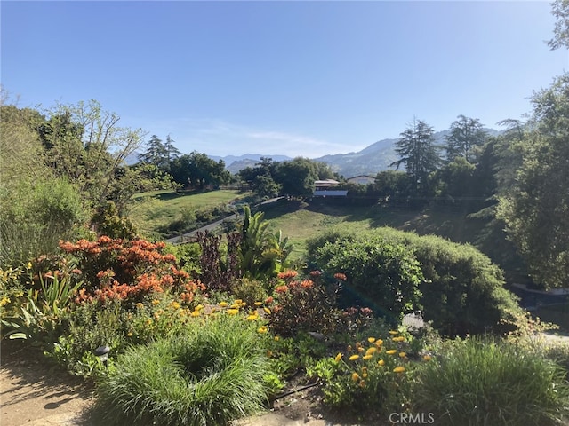 240 Portal St, Oak View, CA 93022 - view of yard with a mountain view