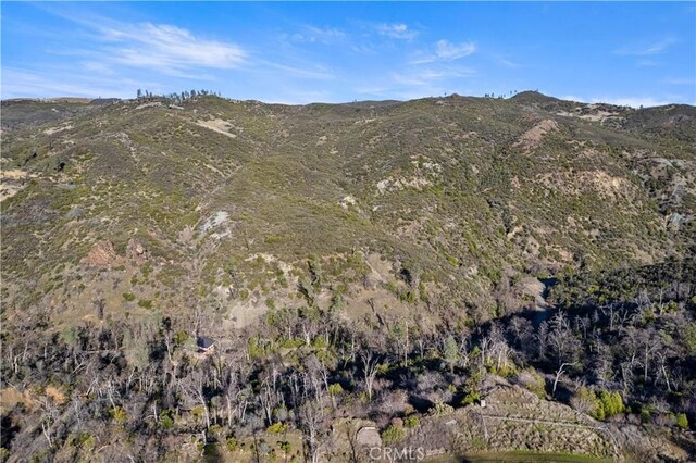 14410 Big Canyon Rd, Middletown, CA 95461 - photo 47