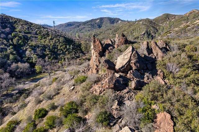 14410 Big Canyon Rd, Middletown, CA 95461 - photo 4