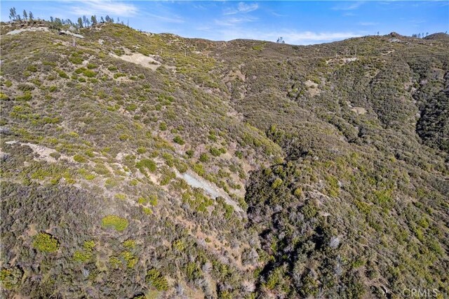 14410 Big Canyon Rd, Middletown, CA 95461 - photo 50