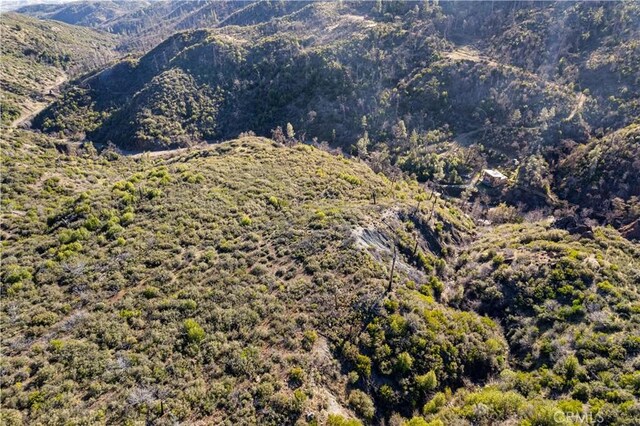 14410 Big Canyon Rd, Middletown, CA 95461 - photo 51