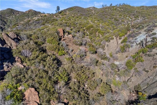 14410 Big Canyon Rd, Middletown, CA 95461 - photo 56