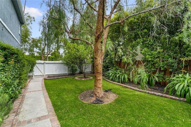 4455 Atoll Ave, Sherman Oaks, CA 91423 - view of yard