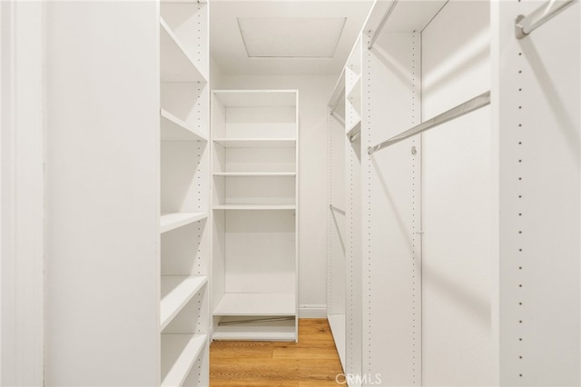 19464 Turtle Ridge Ln, Porter Ranch, CA 91326 - walk in closet featuring light wood-style flooring