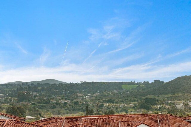 2527 Wellspring St, Carlsbad, CA 92010 - mountain view