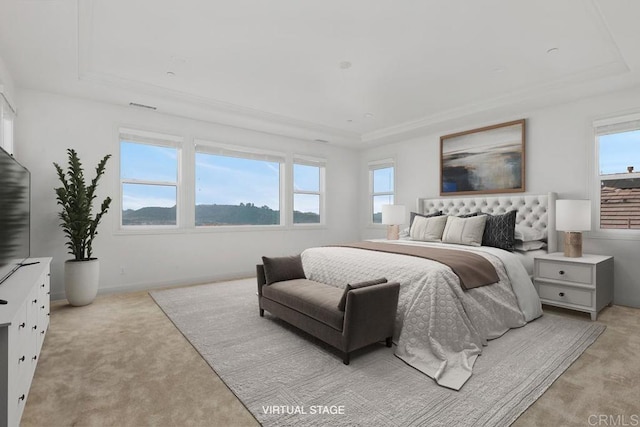 2527 Wellspring St, Carlsbad, CA 92010 - bedroom featuring a raised ceiling, light colored carpet, and baseboards