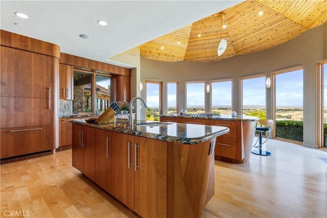 2340 Battering Rock Rd, Templeton, CA 93465 - kitchen featuring a sink, a kitchen island with sink, modern cabinets, light wood-type flooring, and a high ceiling