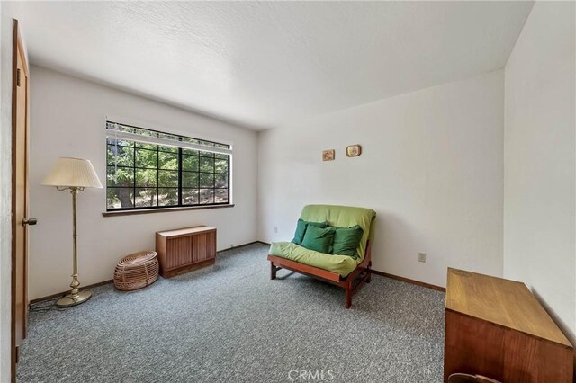 9591 Lassen Dr, Cobb, CA 95426 - photo 29