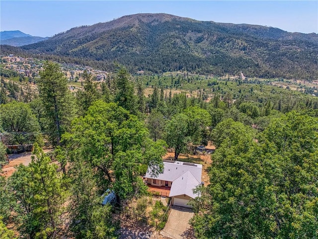 9591 Lassen Dr, Cobb, CA 95426 - photo 3