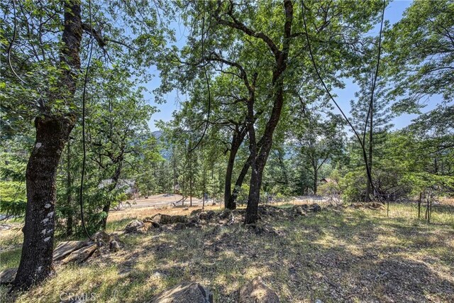 9591 Lassen Dr, Cobb, CA 95426 - photo 38