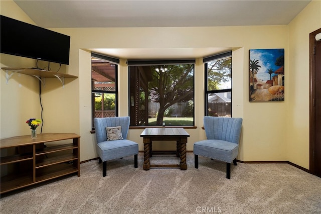 833 Saint Amant Dr, Chico, CA 95926 - living area featuring carpet and baseboards