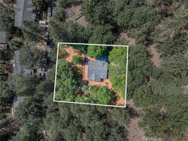 16300 Ponderosa Dr, Cobb, CA 95426 - photo 39