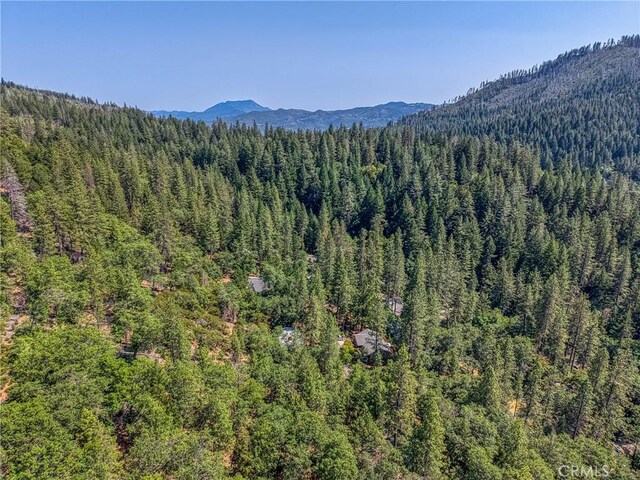 16300 Ponderosa Dr, Cobb, CA 95426 - photo 36