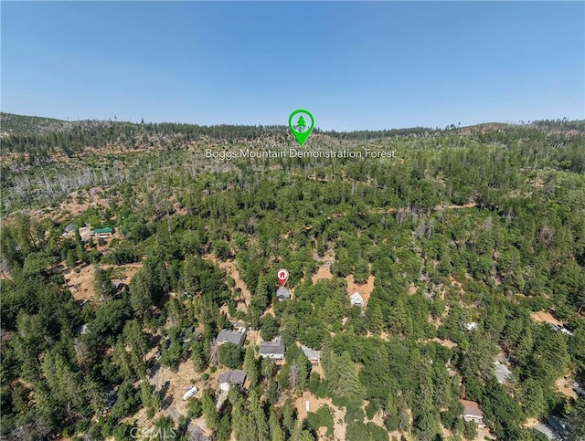 16300 Ponderosa Dr, Cobb, CA 95426 - photo 32