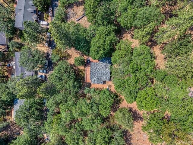 16300 Ponderosa Dr, Cobb, CA 95426 - photo 38