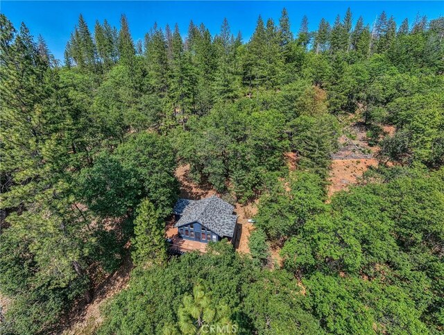 16300 Ponderosa Dr, Cobb, CA 95426 - photo 33