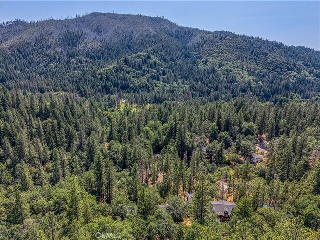 16300 Ponderosa Dr, Cobb, CA 95426 - photo 35