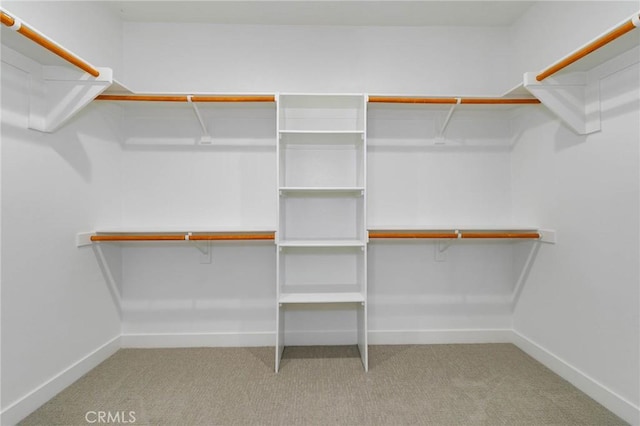 484 Chorus, Irvine, CA 92618 - spacious closet featuring carpet flooring