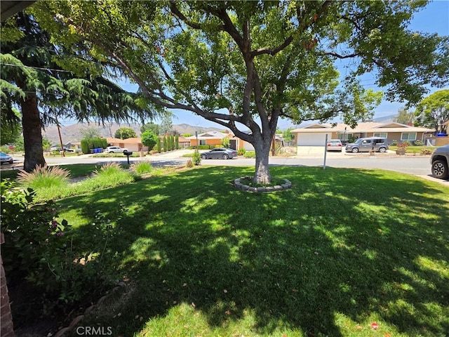 34939 Date Ave, Yucaipa, CA 92399 - view of grassy yard with a residential view