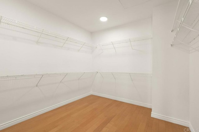 2413 Paseo, Los Gatos, Chula Vista, CA 91914 - walk in closet featuring wood finished floors