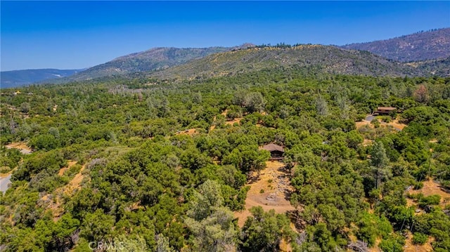 58632 Rainbow Dr, North Fork, CA 93643 - view of mountain background with a forest