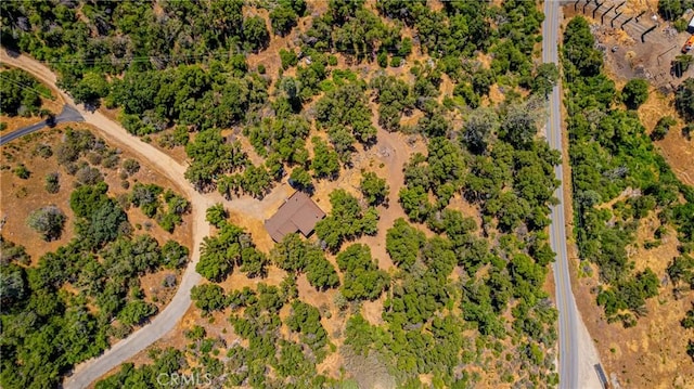 58632 Rainbow Dr, North Fork, CA 93643 - aerial view