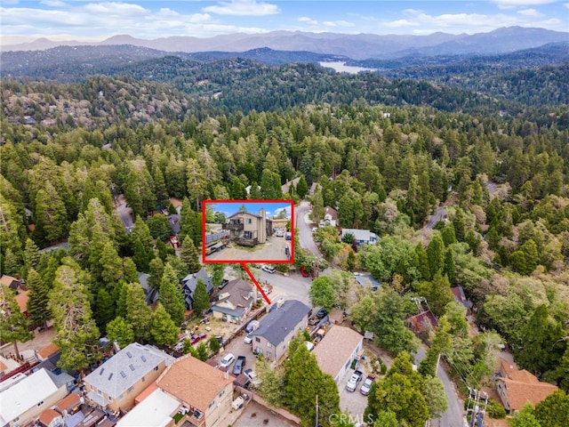 26166 Alpine Ln, Twin Peaks, CA 92391 - aerial view of residential area with a forest, a mountain backdrop, and property parcel outlined