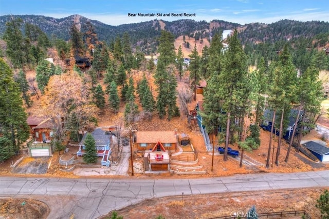 43201 Sand Canyon Rd, Big Bear Lake, CA 92315 - photo 22