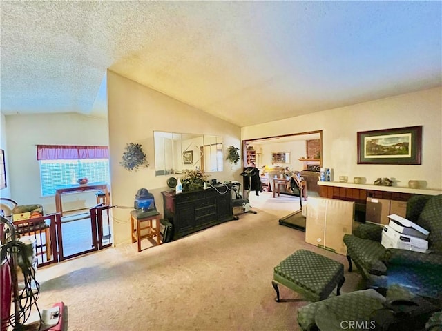 11230 Reliance Dr, Riverside, CA 92505 - carpeted living room featuring lofted ceiling