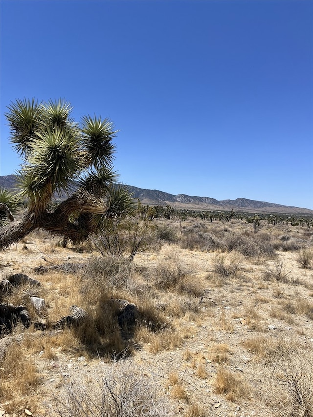 0 Pine Tree Rd, Pinon Hills, CA 92372