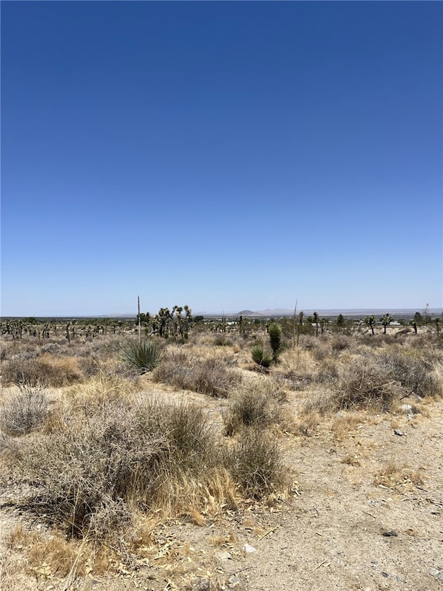 0 Pine Tree Rd, Pinon Hills, CA 92372