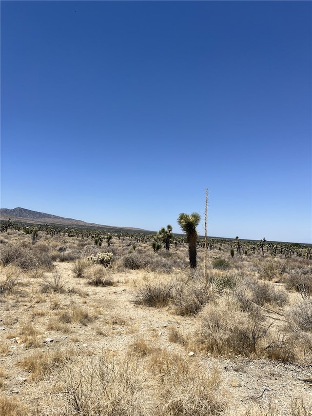 0 Pine Tree Rd, Pinon Hills, CA 92372