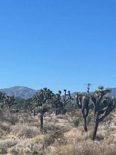 0 Pine Tree Rd, Pinon Hills, CA 92372