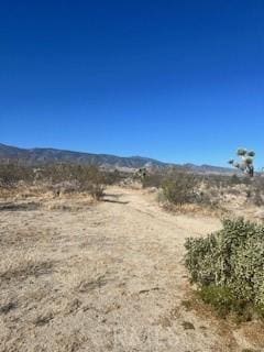 0 Pine Tree Rd, Pinon Hills, CA 92372