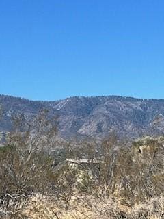 0 Pine Tree Rd, Pinon Hills, CA 92372