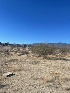 0 Pine Tree Rd, Pinon Hills, CA 92372