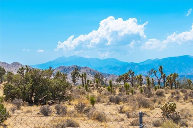 9124 Joshua Ln, Yucca Valley, CA 92284 - mountain view
