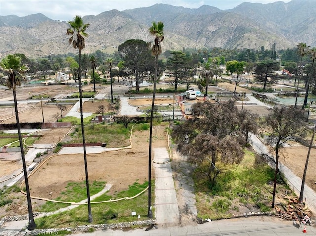 0 Punahou, Altadena, CA 91001 - photo 4