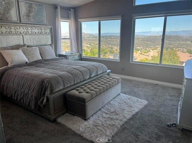 5 Corte Montena, Lake Elsinore, CA 92532 - photo 19