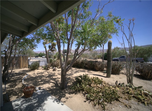 61740 Oleander Dr, Joshua Tree, CA 92252 - view of yard