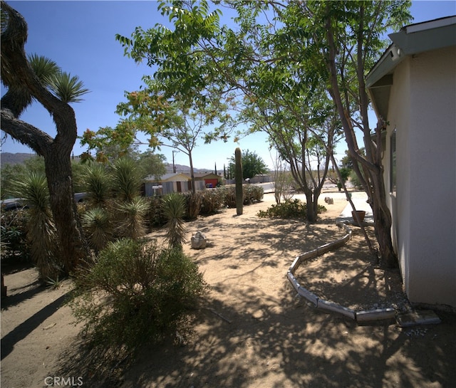 61740 Oleander Dr, Joshua Tree, CA 92252 - photo 32