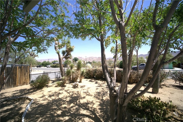 61740 Oleander Dr, Joshua Tree, CA 92252 - view of yard with a mountain view