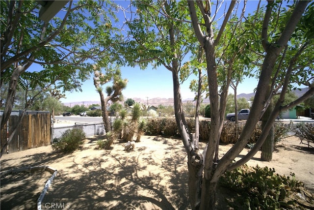61740 Oleander Dr, Joshua Tree, CA 92252 - photo 35